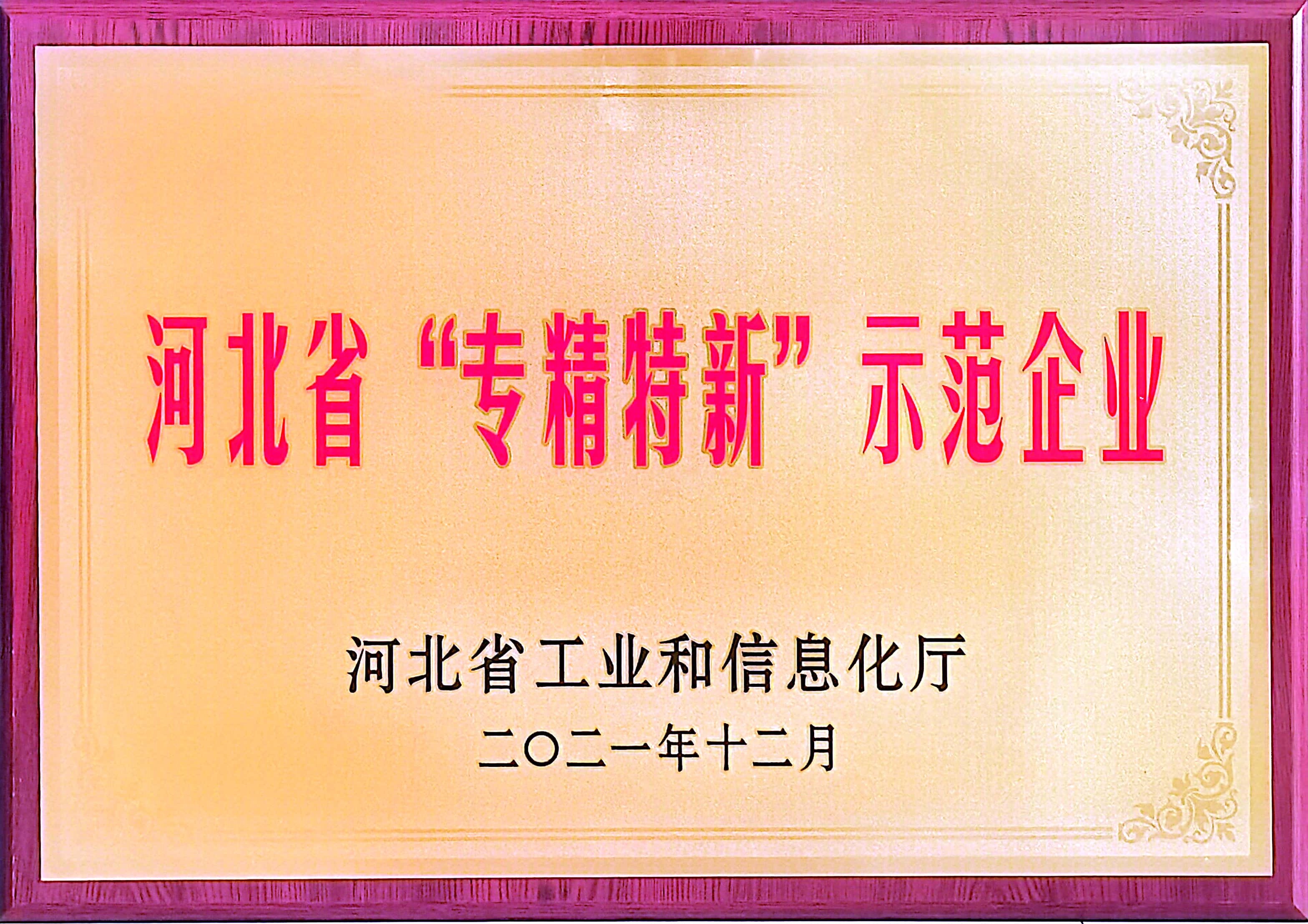 河北省“專(zhuān)精特新”示范企業(yè)